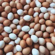 问到今天的鸡蛋价格是否存在季节性波动?