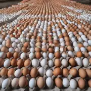 如何确定每批蛋种的质量和数量?