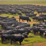 如果你拥有一家肉牛养殖场你认为在宁夏地区养肉牛的最佳方式是什么?