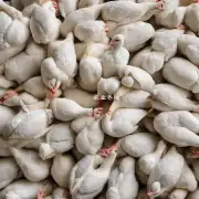 在市场上饲料鸡肉粉的价格会随着季节的变化而变化吗?