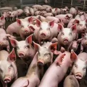 陕西养猪业面临的主要问题是什么?