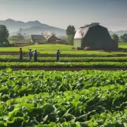 三农养殖场在农业生产中起到了哪些作用?