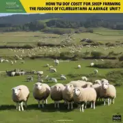 当您的成本包括饲料草料和人工时在平均单价计算的前提下如何进行养羊成本核算?
