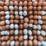 问到今天的鸡蛋供需是否平衡?