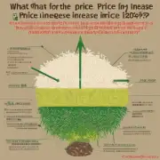 年大米价格上涨的原因有哪些?