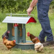 如何选择合适的鸡饲料投喂器?