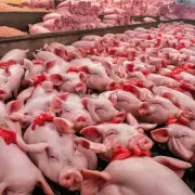 为什么中国猪肉的价格波动那么大尤其是最近的猪肉价格上涨了这么多?