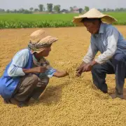 年黄豆价格的变化对于农民收入和农业生产有什么样的影响?