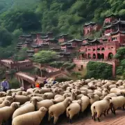 四川省乐山市金口河镇是一个养羊的好地方吗?