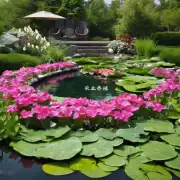 如何选择合适的人工池塘来种植花鳅?