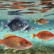 你认为目前使用开放基因组学来改良鱼类的潜力有多大?