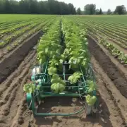 我想获得一个比较详细的解释问题是如何使用最先进的半夏种植技术来提高农作物产量和质量?