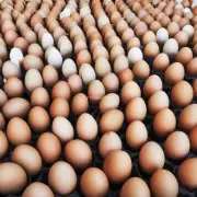 问到今天的鸡蛋价格上涨还是下跌了?