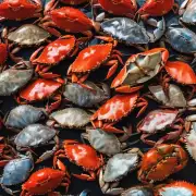 问无锡水产市场螃蟹的价格是否存在旺季和淡季之分?
