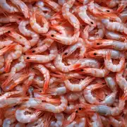 虾饲料中是否含有添加剂来提高其养分含量或增强养料吸收能力?