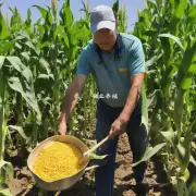 在实践中如何评估和监测玉米秸秆氨化技术的效果?
