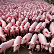 中国养猪业能否在2023年实现1亿头猪的目标?