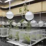 我想知道在高纬度地区如何种植球盖菇?