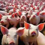 是的众所周知猪是最重要的肉蛋产品生产动物之一养殖过程中猪只饲养密度大饲料成本高而且现代人们的食品需求也在逐渐增加因此对猪肉的需求量也逐年增加你关于猪的养殖技术问题有哪些呢?
