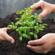 怎么保持土壤湿润并促进植物生长?