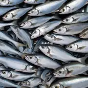 比较常见的青鱼饲料有哪些?