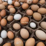你需要什么样的信息才能正确选择适合你的蛋鸡的饲料供应商?