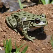 我明白了那最近有哪些新的石青蛙品种被发现或培育成功呢?