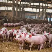 那么养猪行业在山东发展到了何种程度?