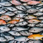 青鱼鲢鱼在不同地区有着不同的市场前景这是为什么呢?