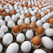 吉林省鸡蛋价格近期上涨趋势明显吗?