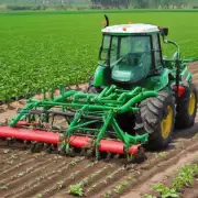 在阳荷种植技术中应该使用哪种肥料来提供磷和钾元素?