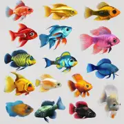 你喜欢哪种颜色的宠物鱼?