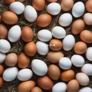 在某个地区的淘汰蛋鸡市场上平均单价为5美元100只这个地区淘汰蛋鸡市场价格是否合理?