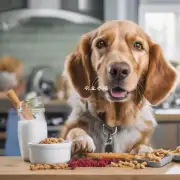 如何知道给狗狗吃的食物是否适合他她?