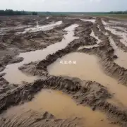 什么是导致泥鳅价格上涨的主要原因之一?