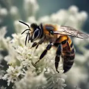 哪些条件是必须满足的才能成功地将一个普通的蜜蜂女王变成人工培育出来的蜂王?
