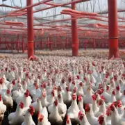 What are some potential challenges that largescale chicken farms in Liaoning face?