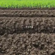如何在种植过程中维持土壤酸碱度平衡?