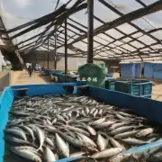 自贡市第一批水产养殖场主要养殖哪些品种的鱼?