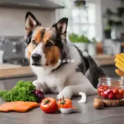 我如何知道我正在喂食的食物是否适合我的狗比如是否应该调整营养配比或添加额外成分?