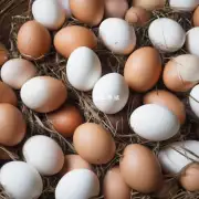 河北省内各市县之间的鸡蛋供应情况是怎样的呢?