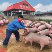 如果购买一头重约50公斤的浙江生猪能获得多少钱?