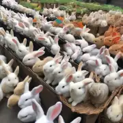 重庆市场上不同品牌不同产地的重庆活兔价格差异很大因此您想购买一只品质优良的价格实惠的重庆活兔应该怎么做才能得到满意的结果呢?