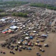 泥鳅市场在2015年的销售渠道是怎么样的?