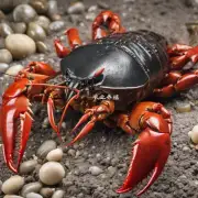 在虾青虫河蟹等水产养殖中应避免使用哪些营养元素?