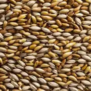 如果我们在谷物中添加一些植物油或植物蛋白会对饲喂效果有影响么?