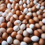 如果是的话这可能会导致明年的鸡蛋价格上涨吗?