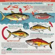 不能通常情况下为一只金枪鱼准备一盎司约28克的鱼饵是比较合理的数量但是如果你发现鱼只消耗的量大于这一定量那么你需要调整它的食物摄入量 如何避免金枪鱼因为饥饿而攻击其他鱼类或其它生物?