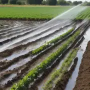 如何管理灌溉系统以确保足够的水分并保持土壤湿润度?