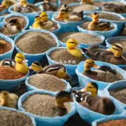 比较一下中国印度和泰国的鸭类饲料生产情况您认为哪种国家在鸭类饲料方面更具优势?